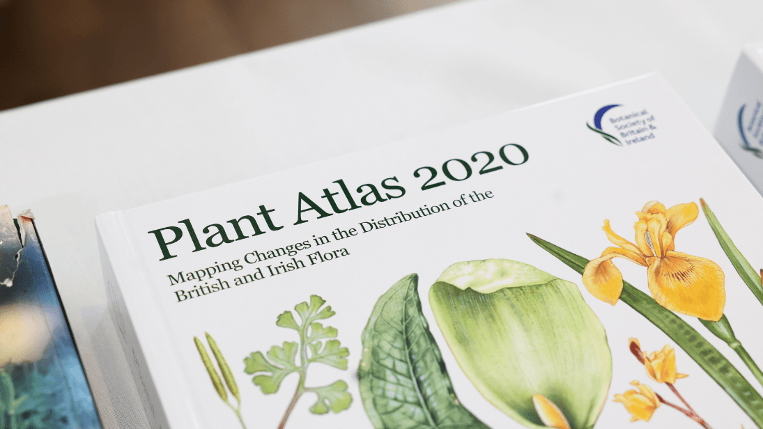 A picture of the colourful front cover of the 2020 Botanical Society of Britain and Ireland (BSBI) Plant Atlas sitting in a table with a white table cloth.