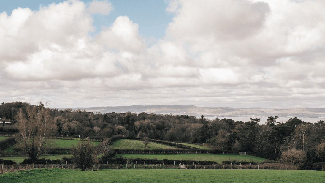 Landscape image of fields, trees, clouds and Belfast Lough in the distance