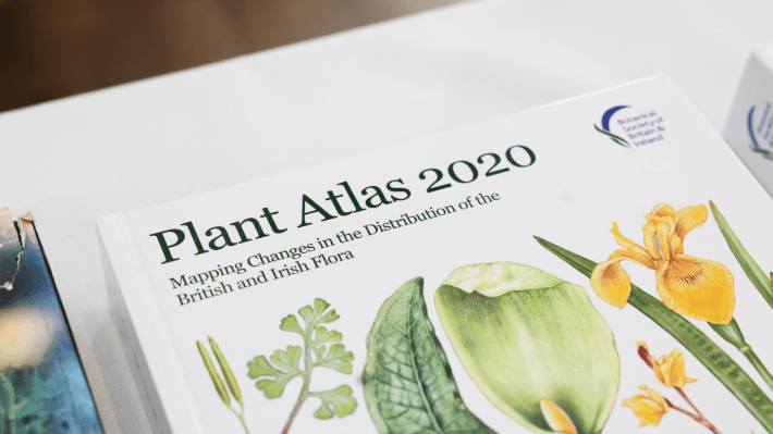 A picture of the colourful front cover of the 2020 Botanical Society of Britain and Ireland (BSBI) Plant Atlas sitting in a table with a white table cloth.